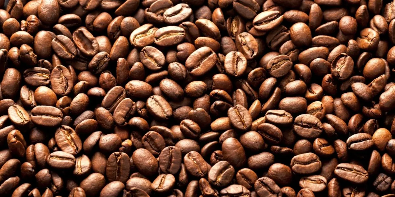 Zdjęcie Która kawa jest kwaśna: arabica czy robusta? Odkryj różnice!
