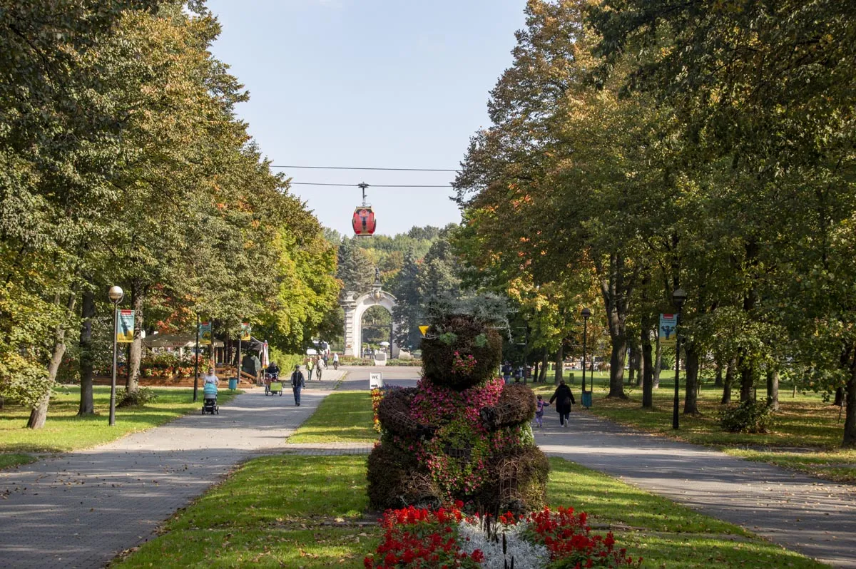 Zdjęcie Najciekawsze atrakcje w Parku Śląskim, które musisz poznać