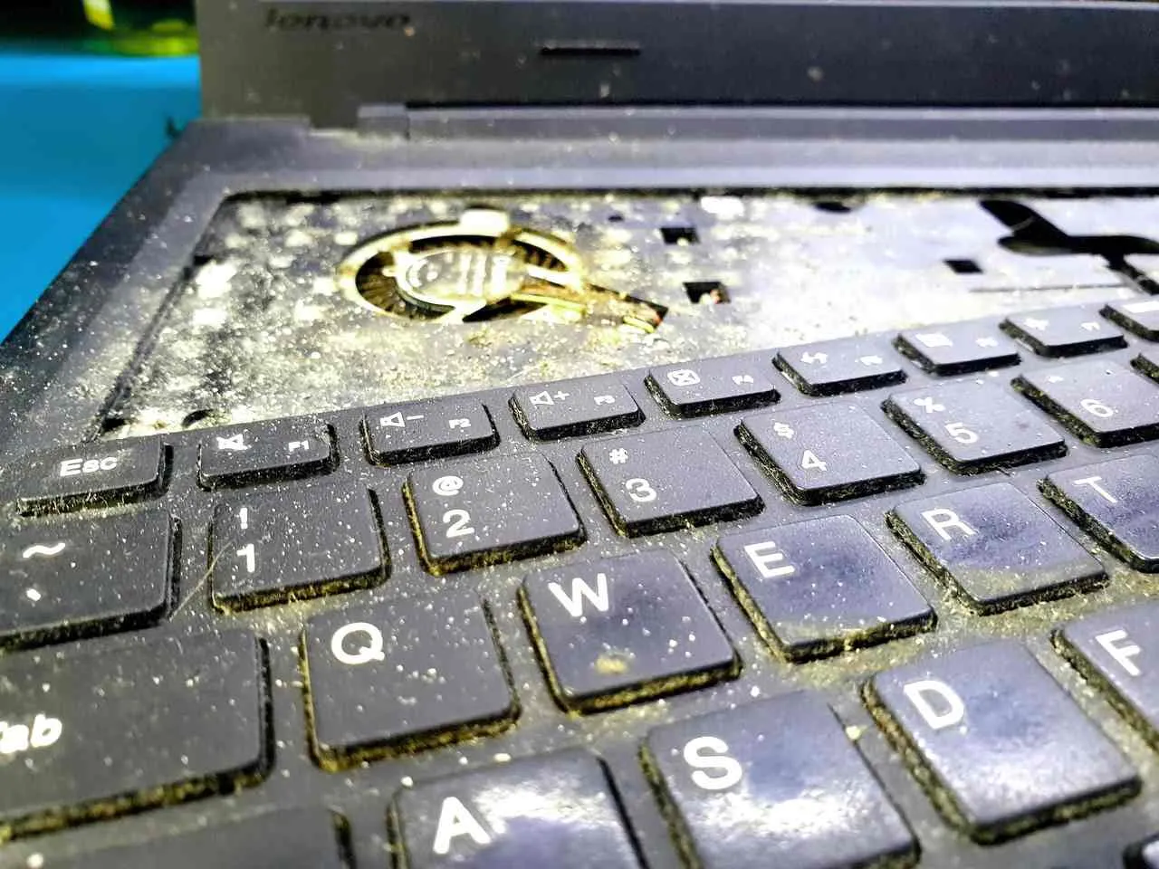 Zdjęcie Czym czyścić laptop, aby uniknąć uszkodzeń i zyskać nowy blask?