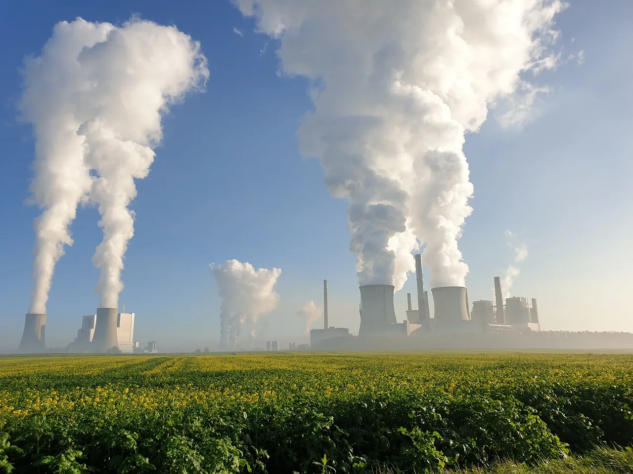 Zdjęcie Jak działa elektrownia węglowa – zaskakujące fakty o procesie produkcji energii