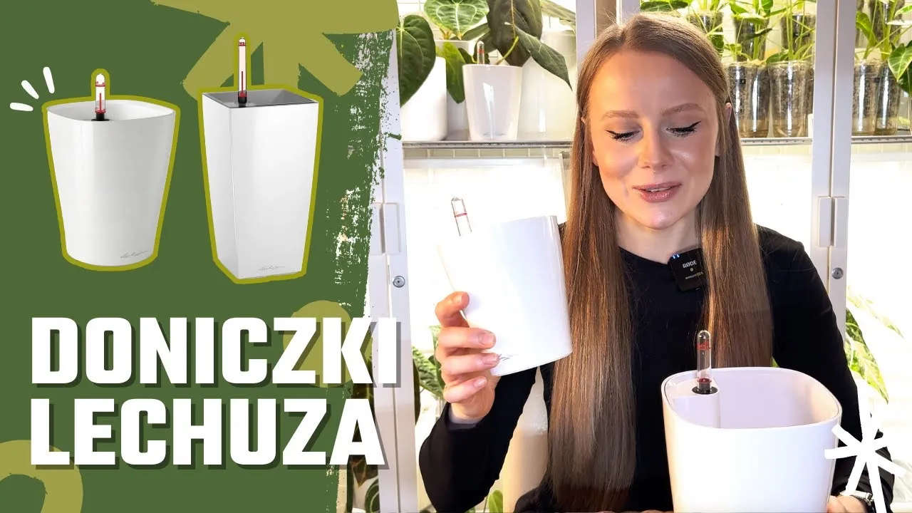 Zdjęcie Jak działa doniczka samonawadniająca? Odkryj jej tajemnice i zalety
