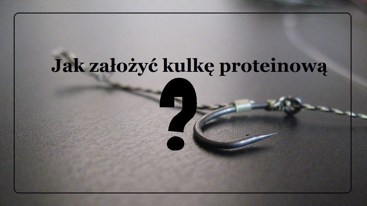 Zdjęcie Jak założyć kulkę proteinową na haczyk i uniknąć błędów wędkarskich