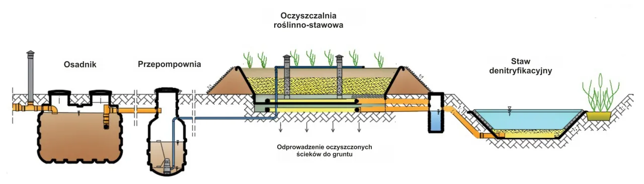 Zdjęcie Oczyszczalnie roślinne: jak działają i dlaczego są tak skuteczne w 2025