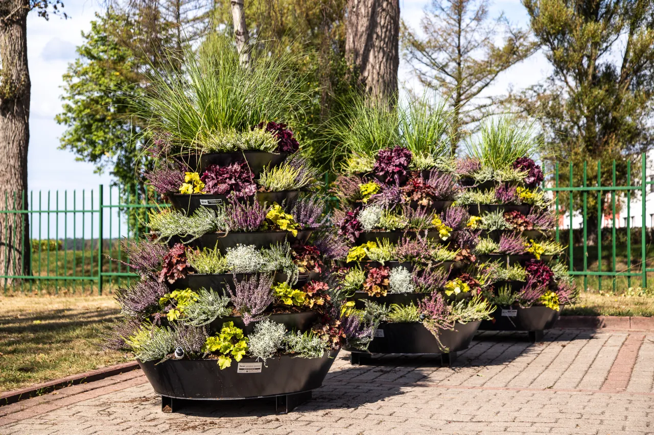 Zdjęcie Kwietnik kaskadowy DIY: Prosty poradnik jak zrobić krok po kroku