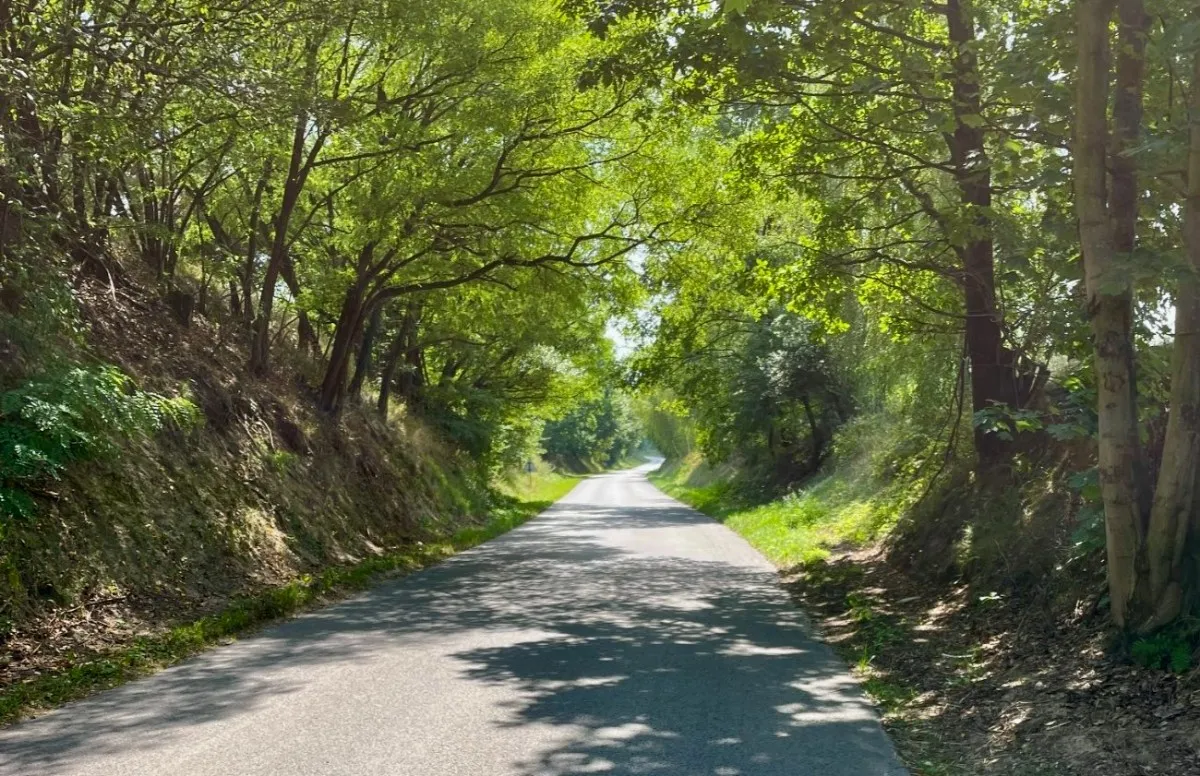 Zdjęcie Najlepsze trasy motocyklowe w Lubelskiem – odkryj ukryte skarby