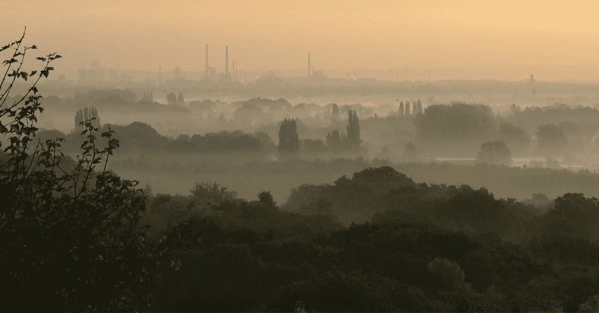 Zdjęcie Smog do którego piętra? Najlepsze piętra dla czystszego powietrza