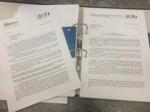 Zdjęcie Jak uzasadnić wniosek o wycięcie drzewa, aby uniknąć problemów?