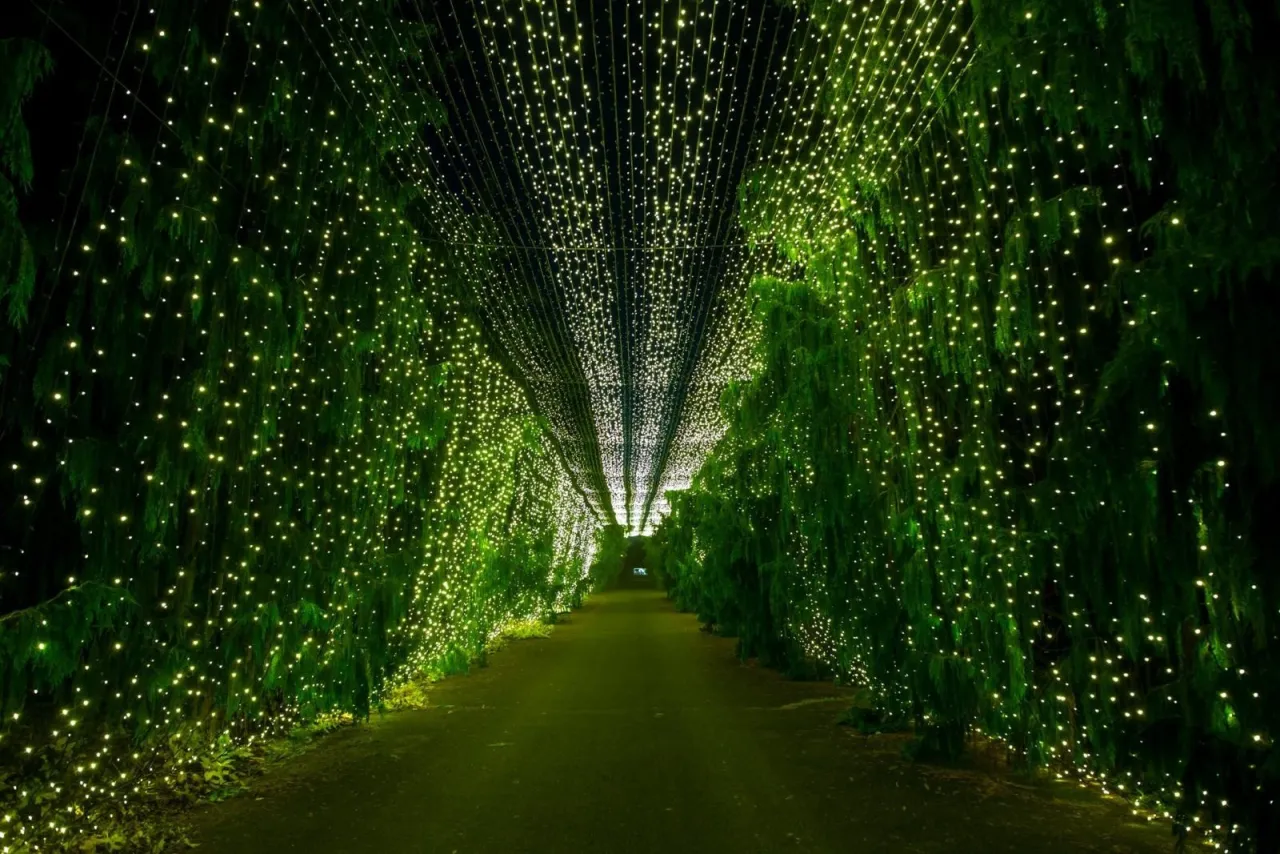 Zdjęcie Mazowsze poza Warszawą: Atrakcje, pomysły na weekend i rodzinne wycieczki