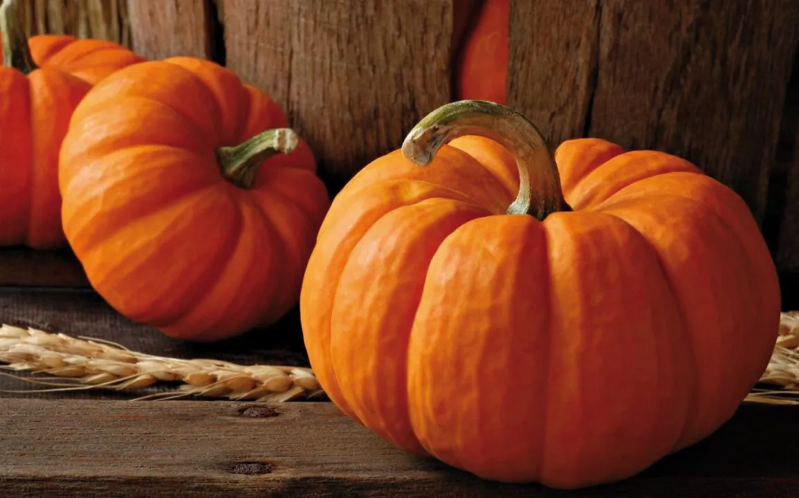 Zdjęcie Sezon na dynie do kiedy? Sprawdź, by nie przegapić najlepszych smaków