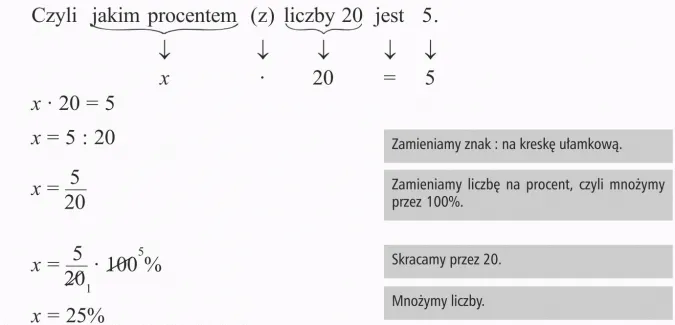 Zdjęcie Jak obliczyć procent z danej liczby - najprostszy sposób dla każdego