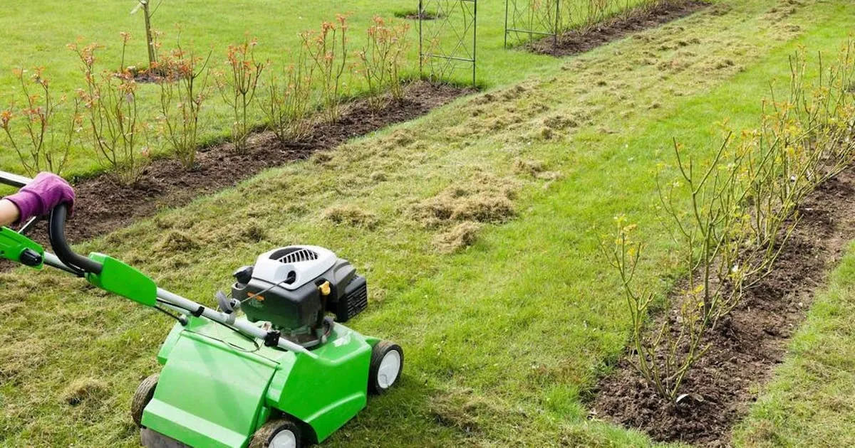 Zdjęcie Ile kosztuje wertykulacja trawnika? Poznaj ceny i ukryte koszty