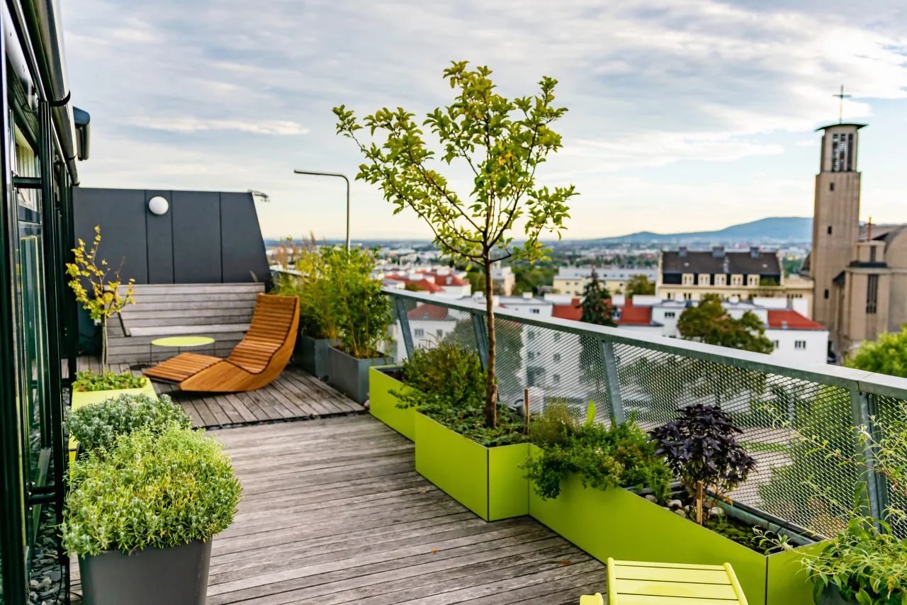 Zdjęcie Jakie rośliny na balkon całoroczne wytrzymają każdą pogodę?