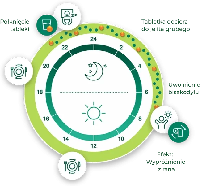 mechanizm działania bisakodylu jelita