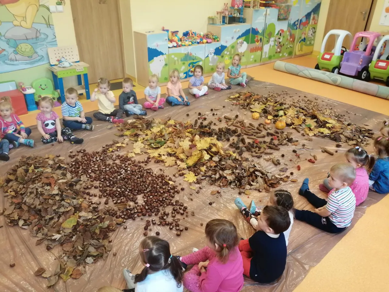 ścieżka sensoryczna z kasztanów i szyszek