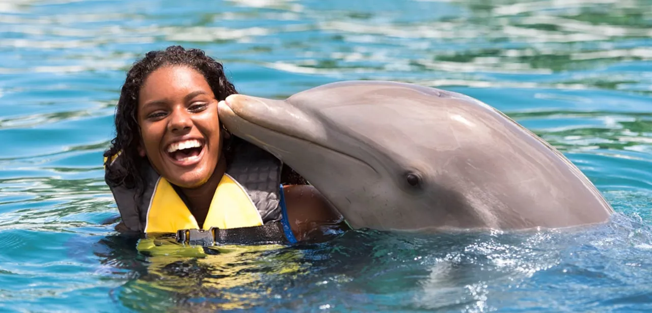 Ocean World Adventure Park delfiny