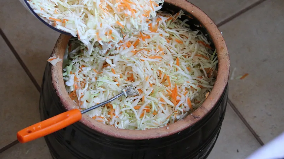 kapusta kiszona z beczki i paczkowana