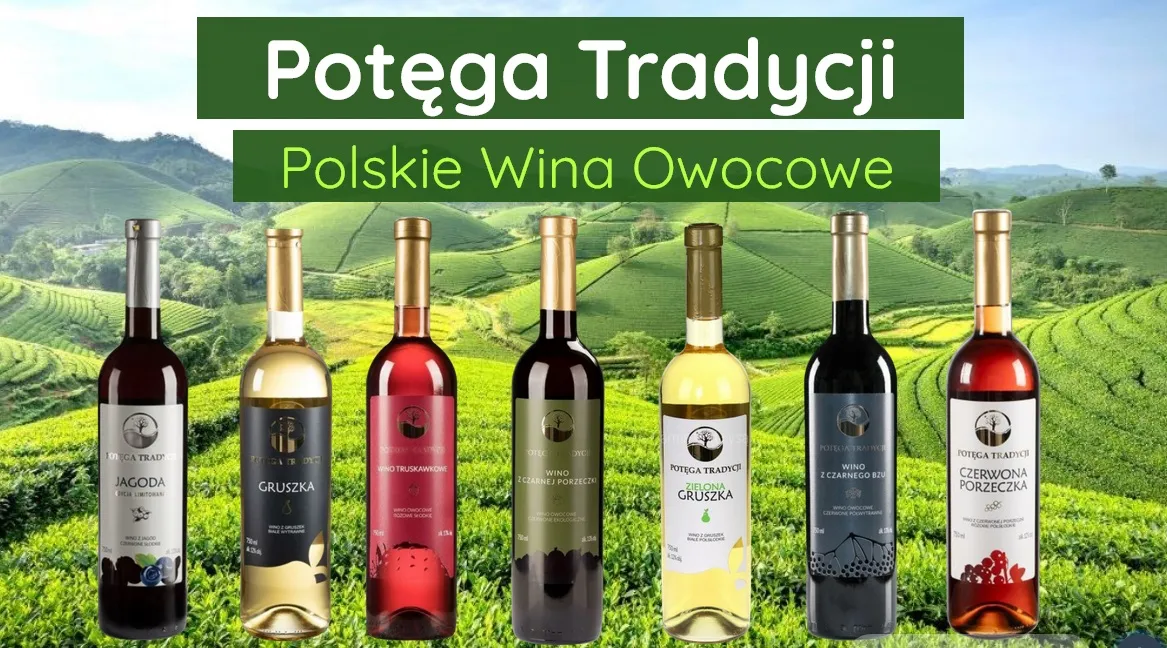 Sklep internetowy wina alkohol