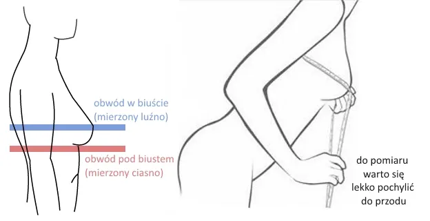 Jak prawidłowo zmierzyć obwód pod biustem i w biuście instrukcja