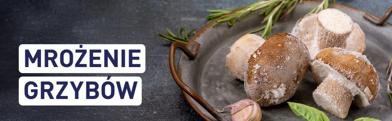 różne rodzaje grzybów w zamrażarce etykiety
