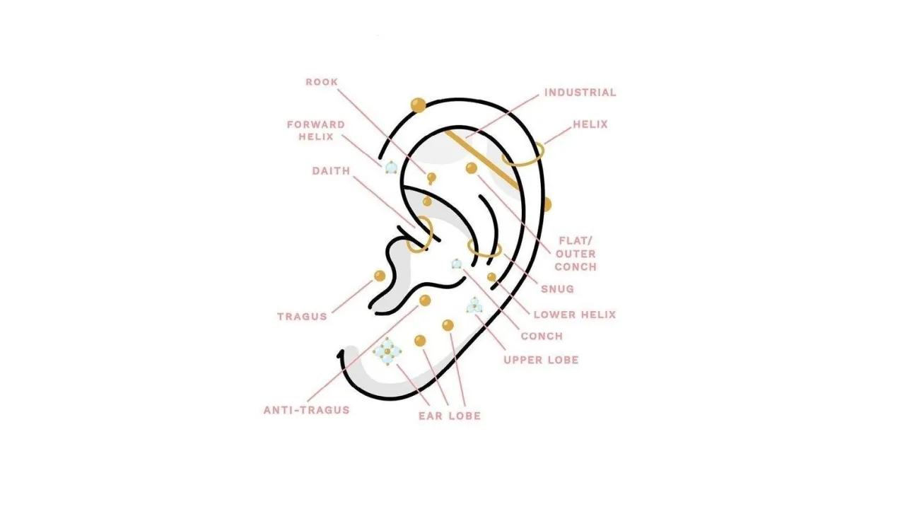 etapy gojenia piercingu schemat