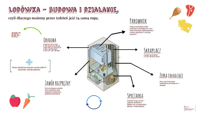 schemat budowy lod&oacute;wki komponenty
