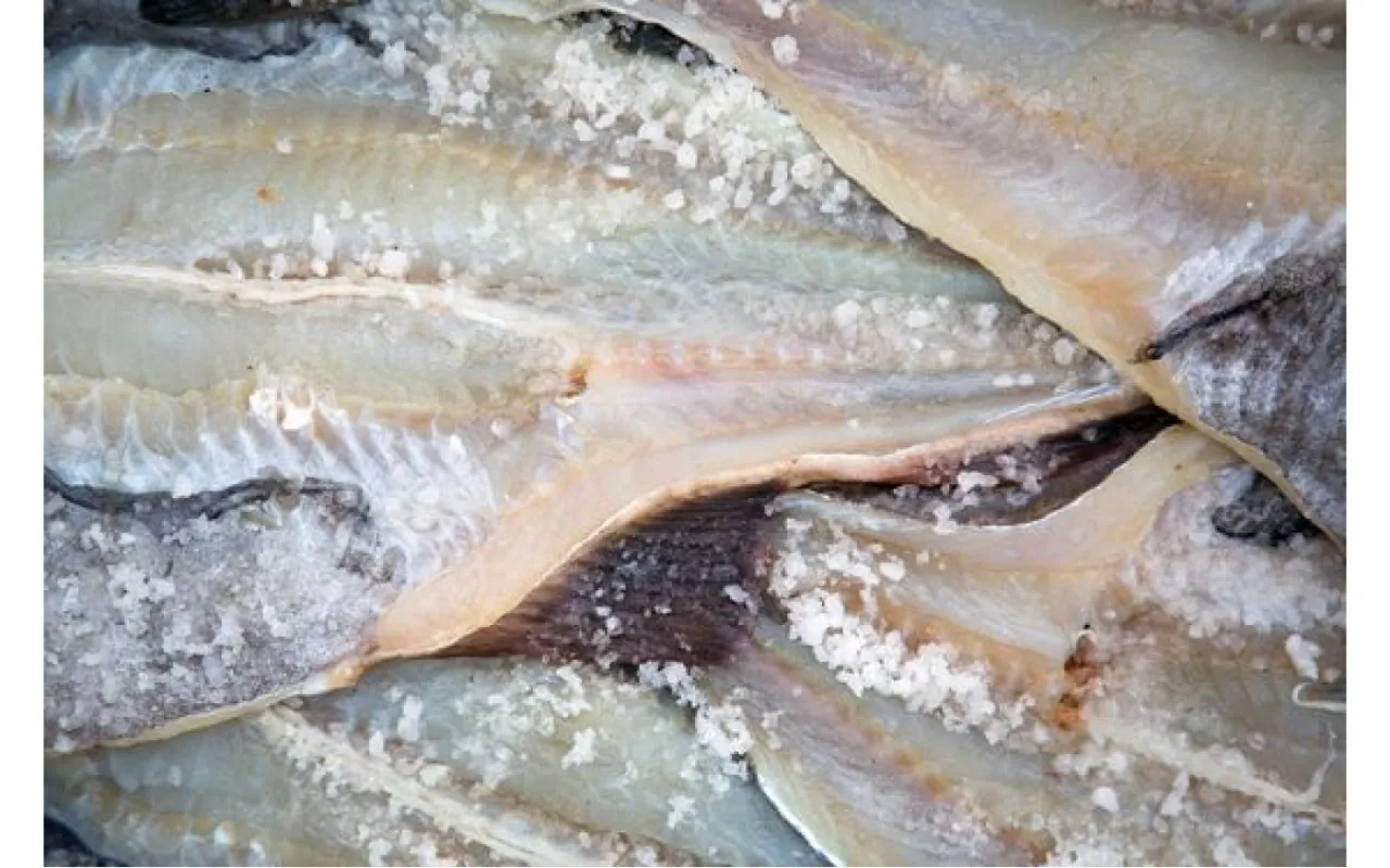Błędy w solankowaniu ryb