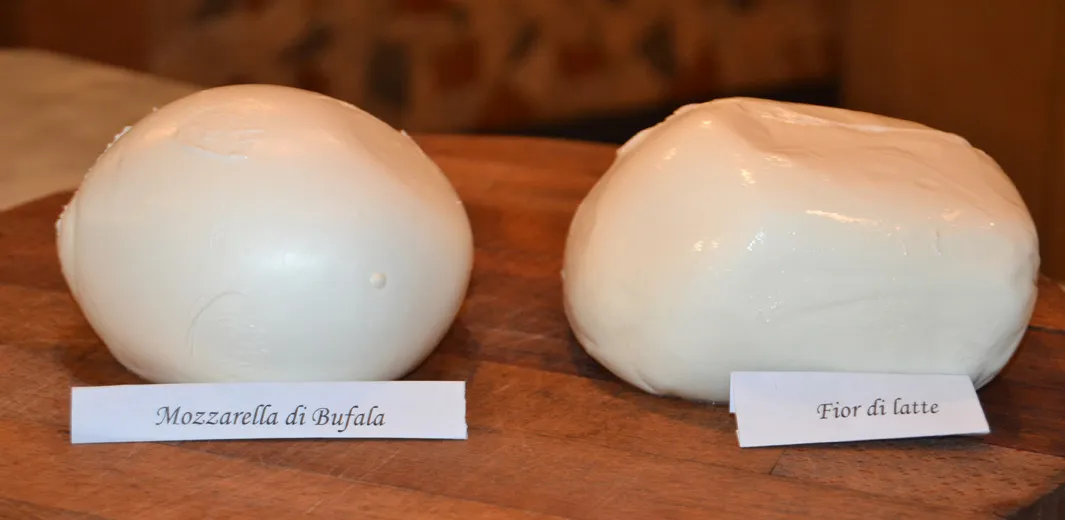 Mozzarella fior di latte i di bufala