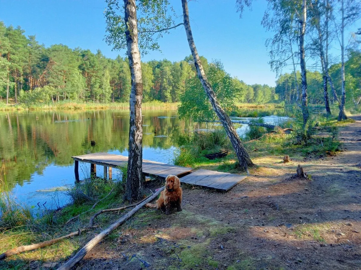 Biskupia Kopa z psem