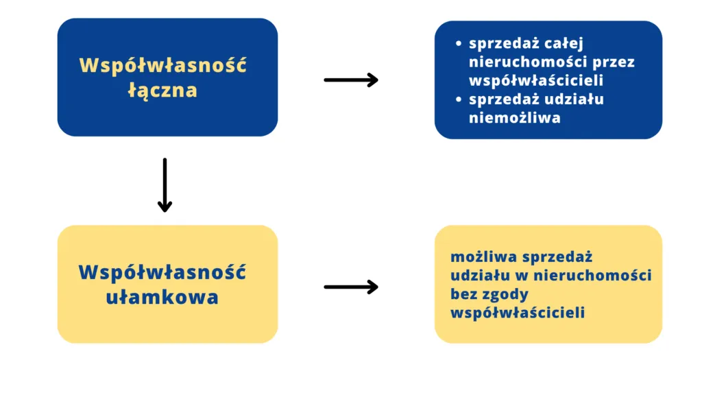 Rodzaje nabywców udziałów w nieruchomościach