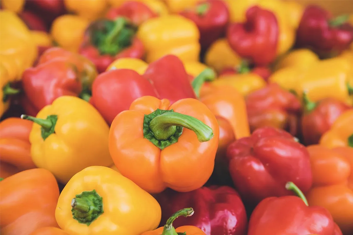 Tipi di peperoni per cucinare