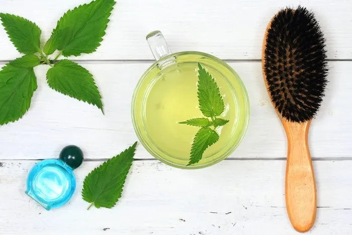 składniki na domową wcierkę do włosów kozieradka pokrzywa