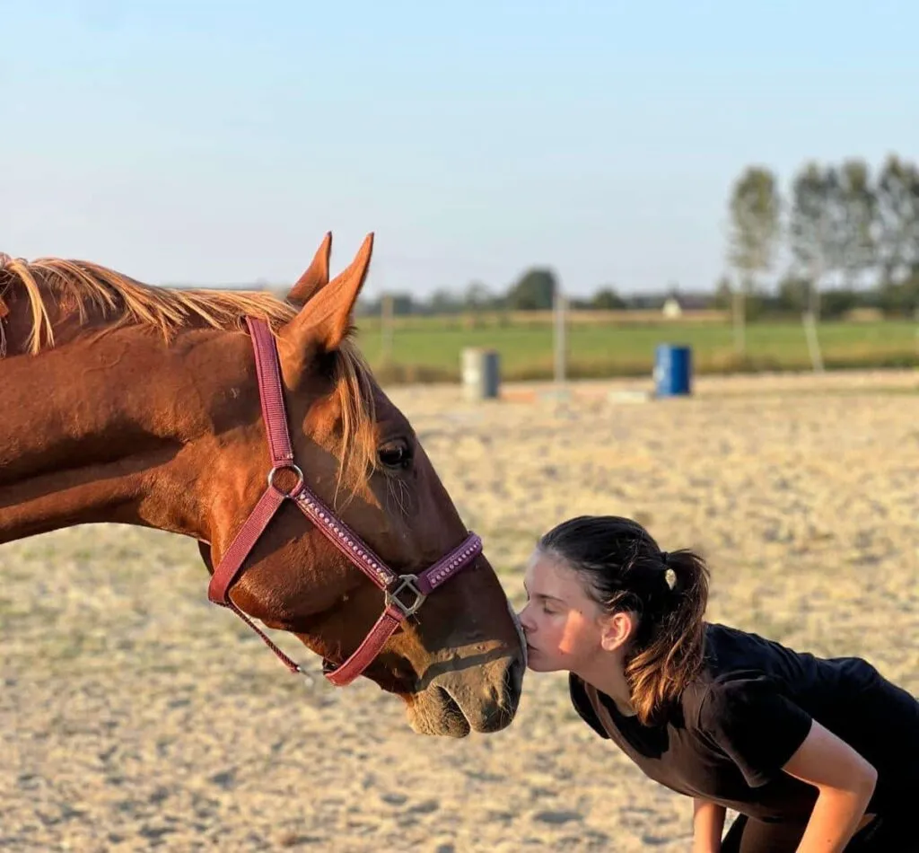 Jeździectwo naturalne praca z ziemi