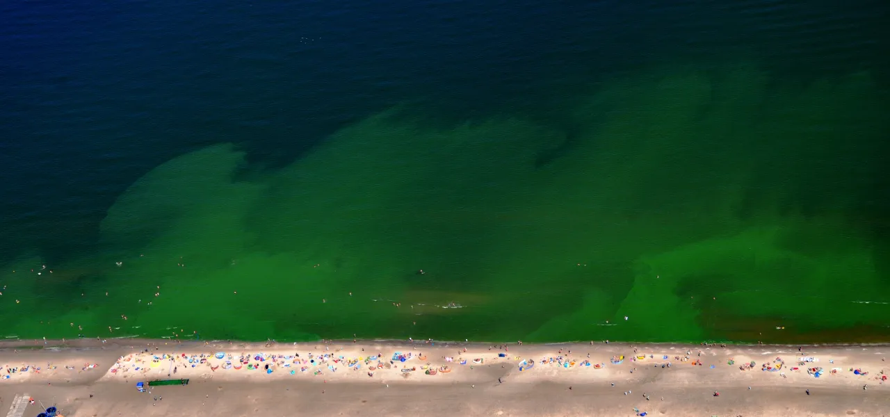 eutrofizacja Bałtyku nawozy