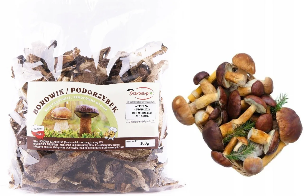 różne suszone grzyby borowiki podgrzybki
