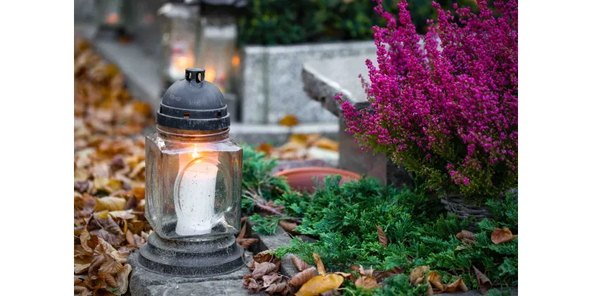 wkłady parafinowe olejowe woskowe r&oacute;żnice