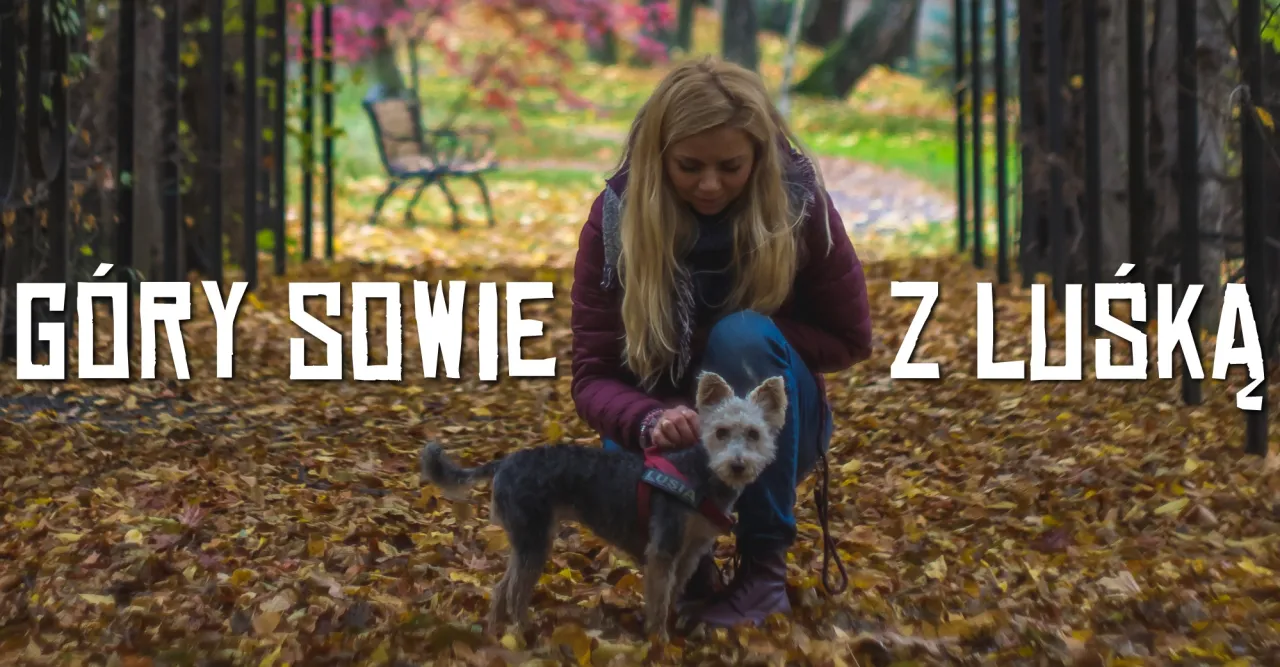 Aktywny wypoczynek w G&oacute;rach Sowich rodzina pies