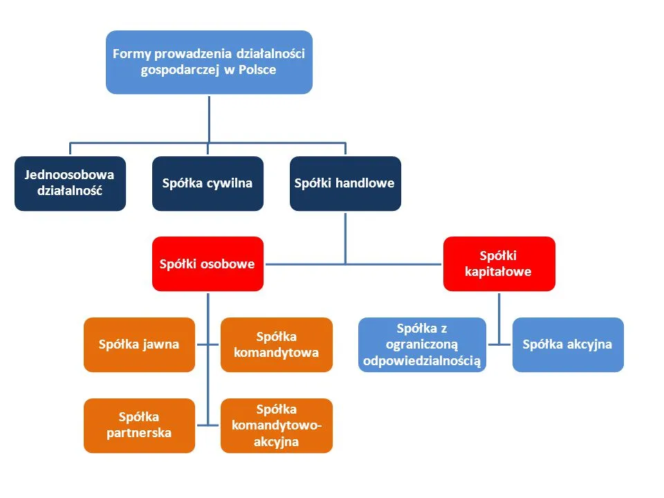 wybór formy prawnej schemat decyzyjny