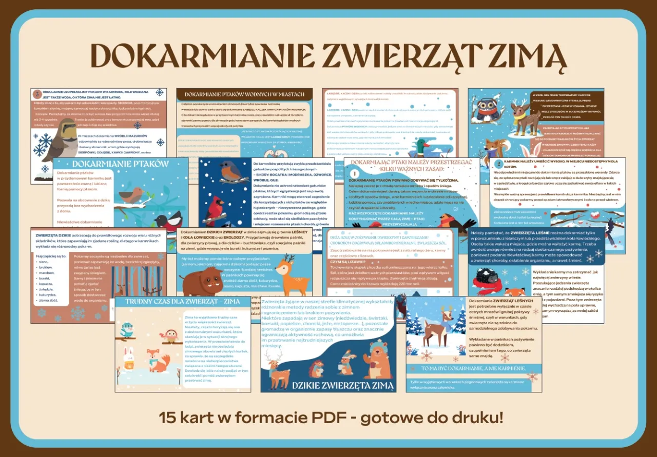 dokarmianie ptaków zimą infographic