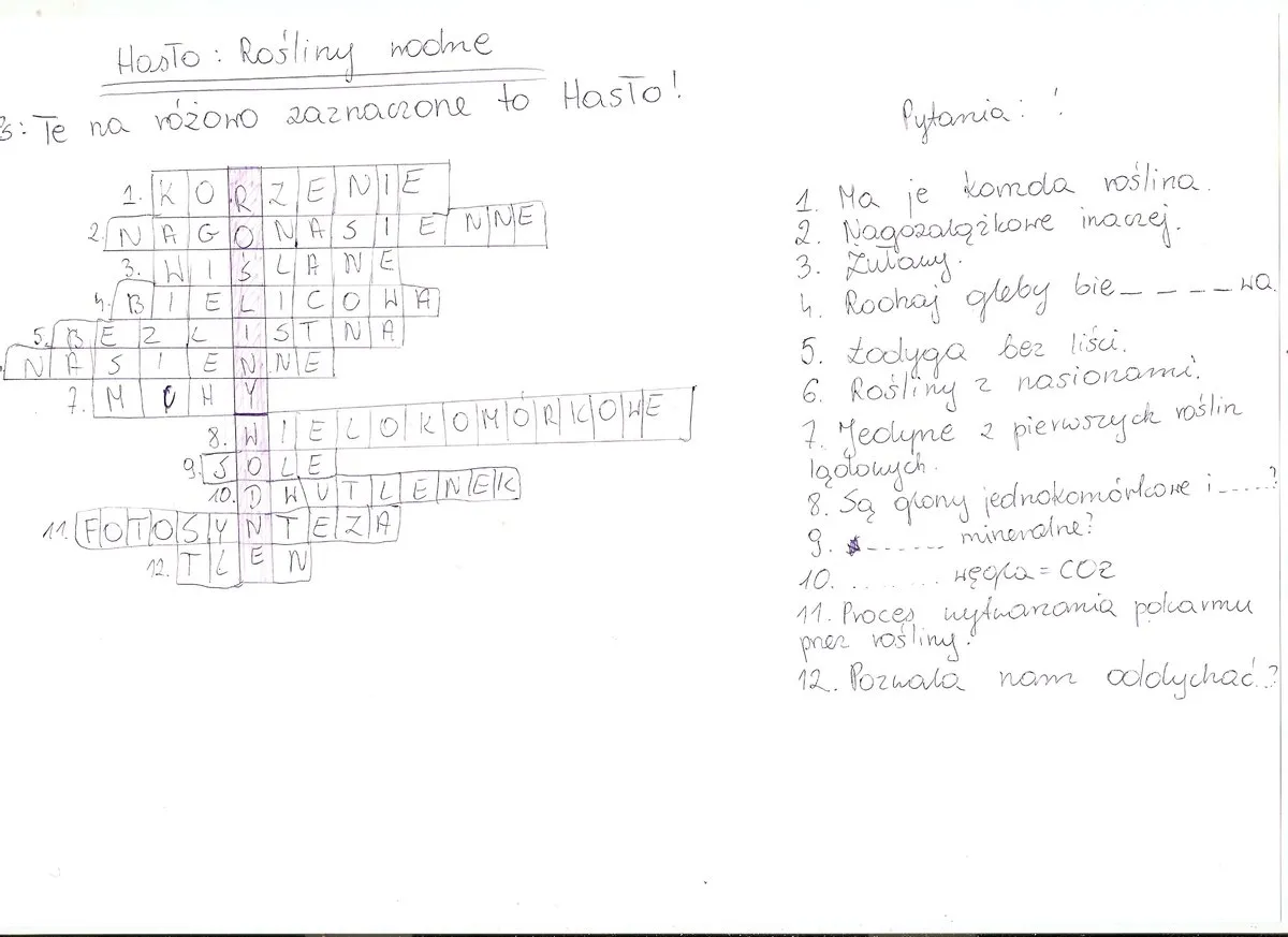 krzyż&oacute;wka z hasłem pożywny nap&oacute;j, r&oacute;żne napoje