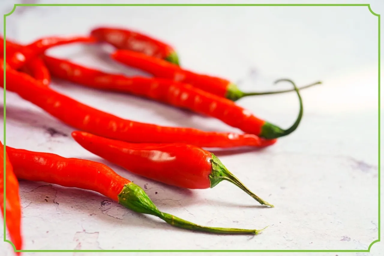 kapsaicyna kazeina mechanizm działania