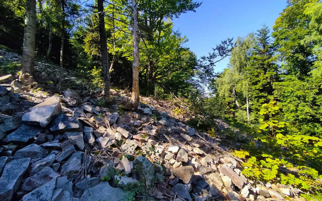 Kamieniste zbocze w rezerwat przyrody szczytniak, porośnięte drzewami i krzewami. Słoneczny dzień.