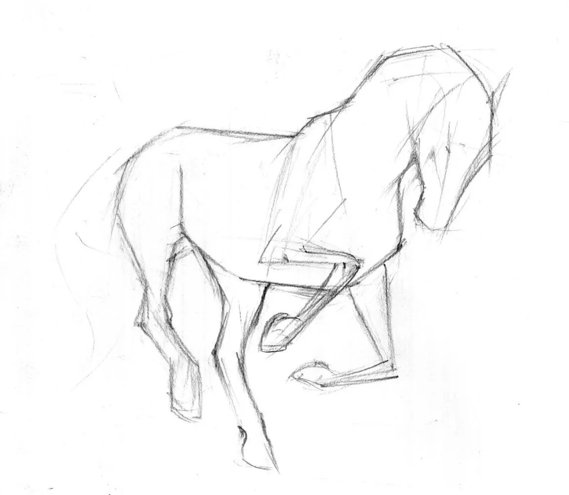 szkic konia w galopie proste kształty