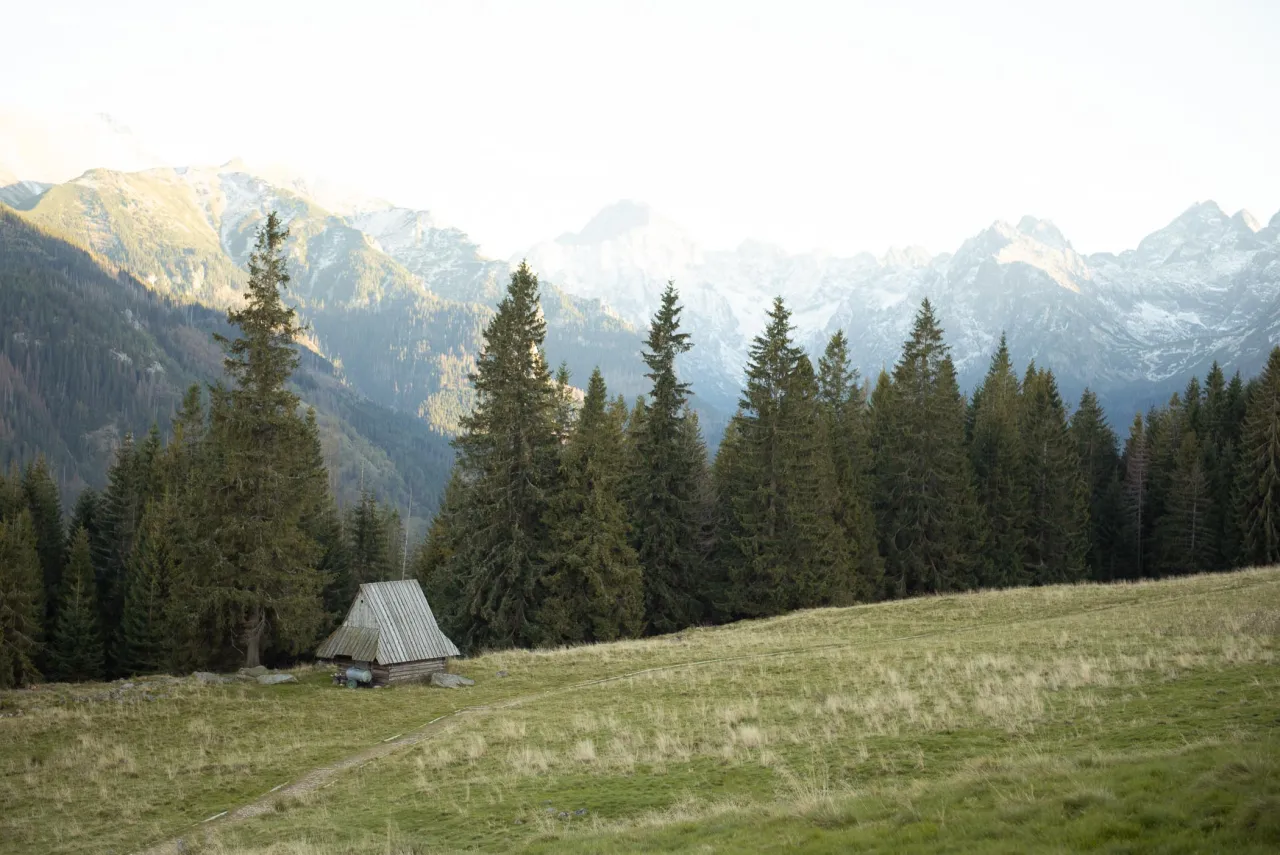 Na polanie Rusinowej, z widokiem na szczyty Tatr, stoi drewniana bac&oacute;wka. Wok&oacute;ł gęsty las świerkowy.