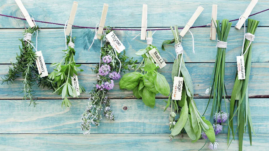 nietypowe zioła do zupy