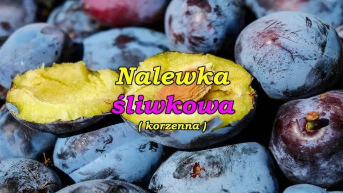 nalewka śliwkowa z przyprawami korzennymi