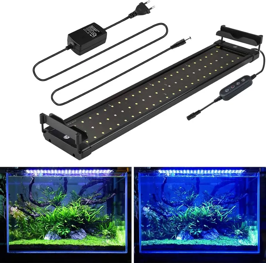 Zdjęcie Jak dobrać oświetlenie do akwarium, aby uniknąć problemów z roślinami