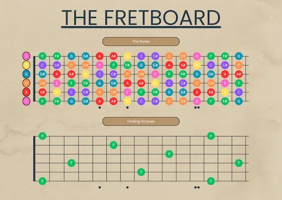 Diagram gryfu gitary z nazwami nut w pierwszej pozycji