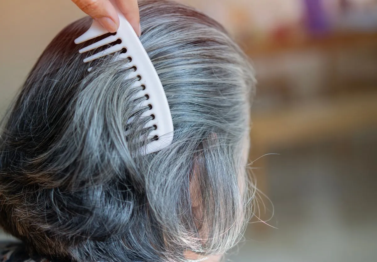 Grzebień delikatnie rozczesuje siwe włosy, pokazując, jak nosić siwe włosy z elegancją.