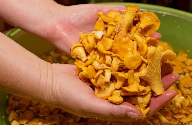 czyszczenie kurek z piasku