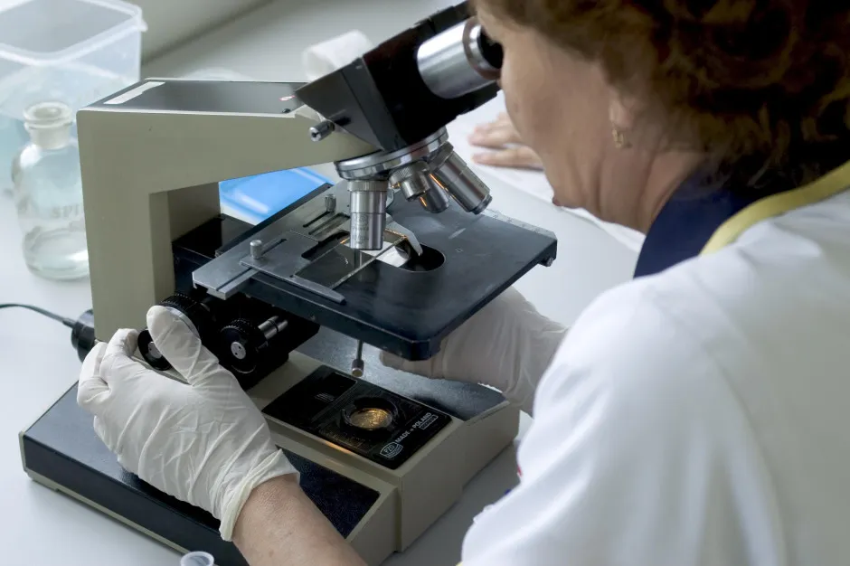 Zdjęcie Ile zarabia kierownik laboratorium? Zaskakujące różnice w wynagrodzeniach